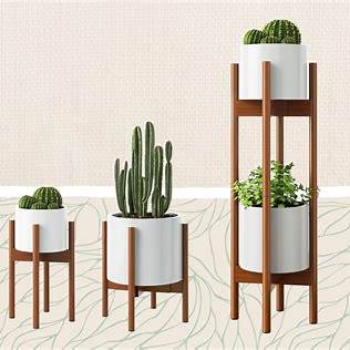 Best Plant Stands to Elevate Your Indoor Garden in 2025