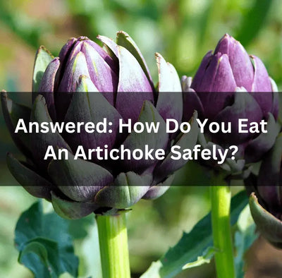 Answered: How Do You Eat An Artichoke Safely?