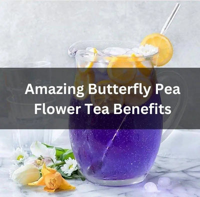 Amazing Butterfly Pea Flower Tea Benefits For Health And Beauty
