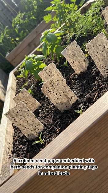 Flax linen seed paper embedded with herb seeds for companion planting ...