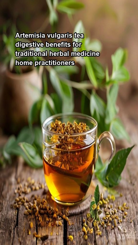 Artemisia vulgaris tea digestive benefits for traditional herbal ...