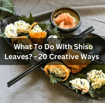 What To Do With Shiso Leaves? - 20 Creative Ways