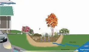 How to Construct a Rain Garden to Collect Runoff