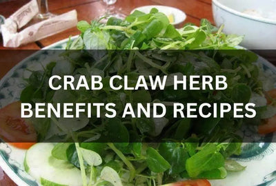 BEST CRAB CLAW HERB BENEFITS AND RECIPES FOR HEALTHY MEALS