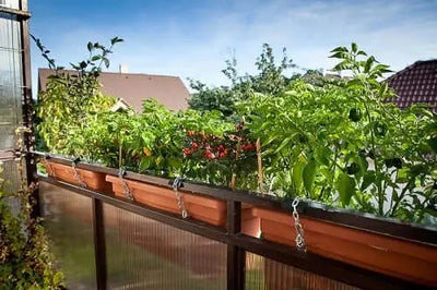 The Art of Balcony and Rooftop Homesteading