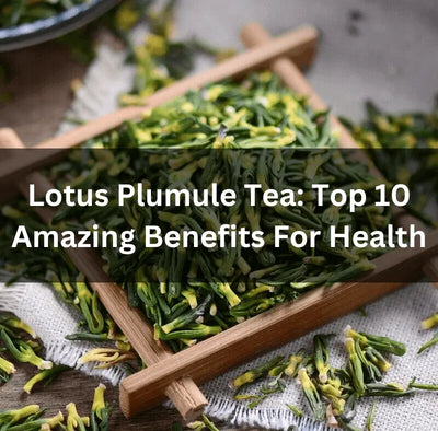 Lotus Plumule Tea: Top 10 Amazing Benefits For Health