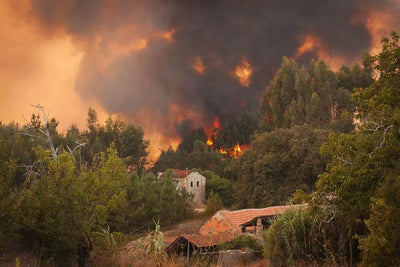 Defending Your Property Against Wildfires
