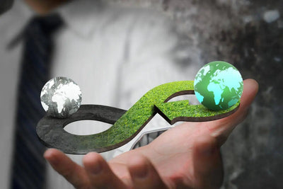 Circular Economy in Action: Transforming Waste into Wealth