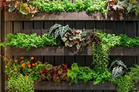 The Top 20 Plants for Vertical Gardens
