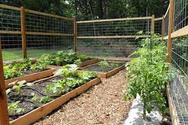 Gardening on Raised Beds: 8 Advantages