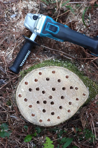 Natural Tree Stump Removal: Eco-Friendly Methods & Soil Restoration