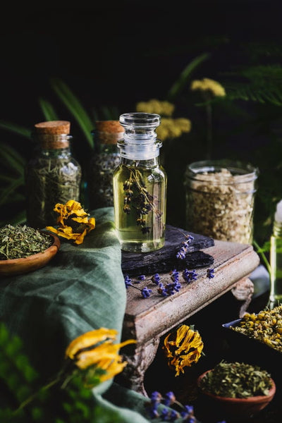 The Art of Sustainable Herbal Practices: Growing Your Own Healing Plants