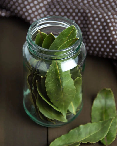 Embracing Tranquility: The Versatile Virtues of Dried Bay Leaves