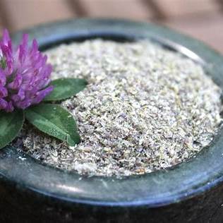 How to Make Clover Blossom Flour: Foraging, Drying & Baking with Wild Clover