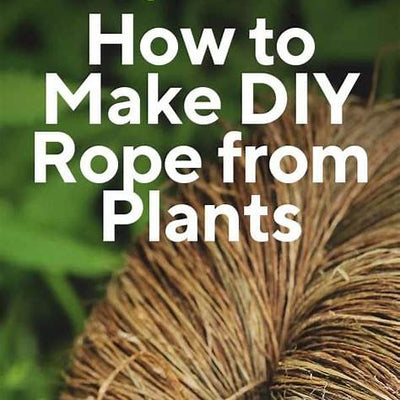 How to Make DIY Rope from Plants: A Comprehensive Guide to Natural Cordage