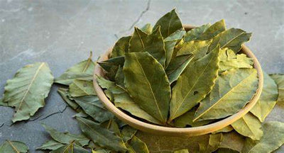 The Ultimate Guide to Bay Leaves Tea: Fragrant and Multipurpose Herb