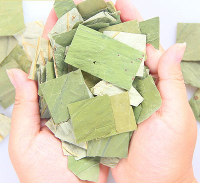 Dried Lotus Leaves Tea