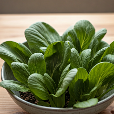 Bok Choy Stir-Fry Kit: From Seed Selection to Plate in About 40 Days