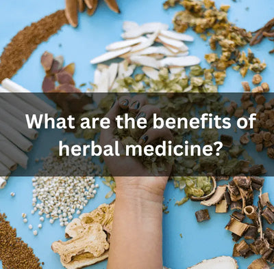 What are the benefits of herbal medicine?