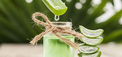 Benefits of Aloe Vera Juice