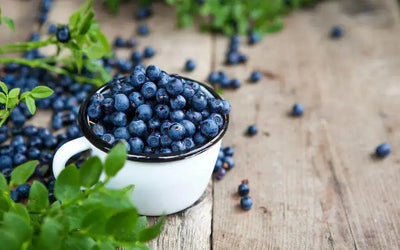 The Benefits of Antioxidant Pterostilbene