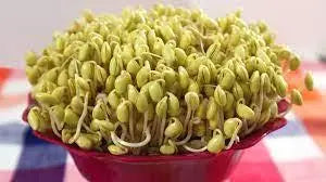 Benefits of Bean Sprouts