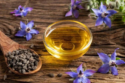 The Benefits of Borage Oil