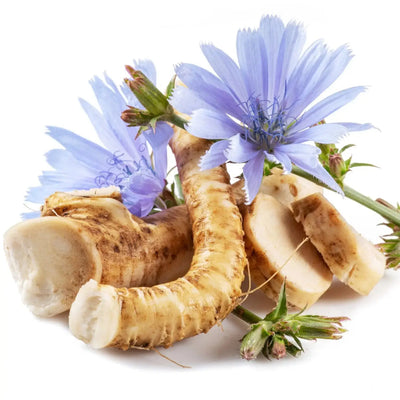 Benefits of Chives and Chicory Root for Gut Health