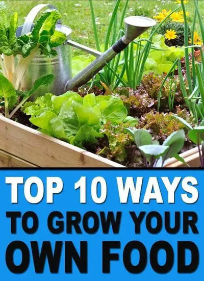 The Benefits of Growing Your Own Food