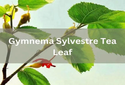 Benefits of Gymnema Sylvestre Tea and Recipes