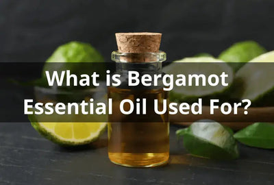 Benefits and Safety of Bergamot Essential Oil for Dogs