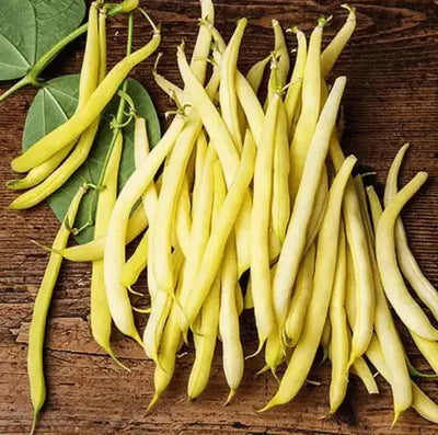 Benefits of Yellow Wax Beans in Your Diet