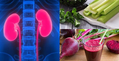 Best Diet for Kidney Disease