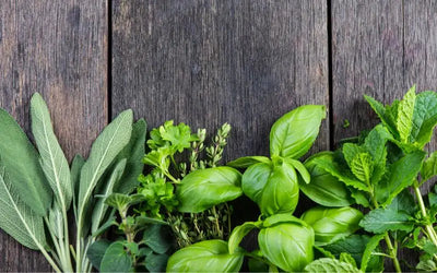 Herbal Heroes: Explore the Benefits of Gotu Kola, Rosemary, and More