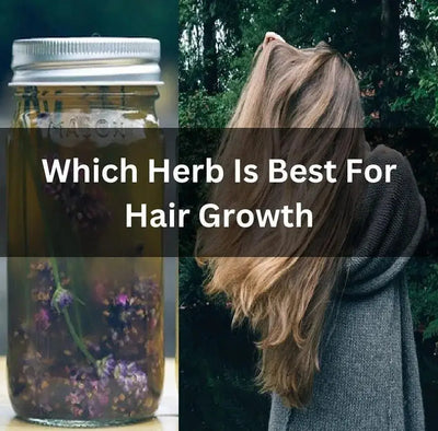 The Best Herbal Products for Hair Growth