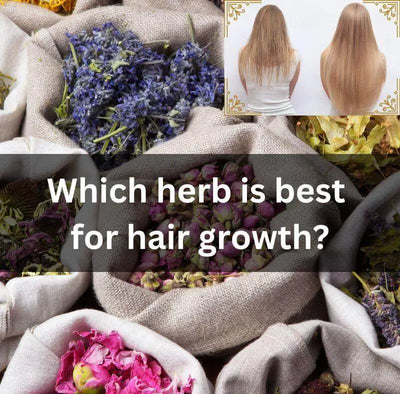 Best Herbs for Hair Growth