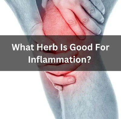 Best Herbs for Inflammation