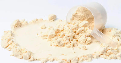 Casein Protein: An Underrated Alternative