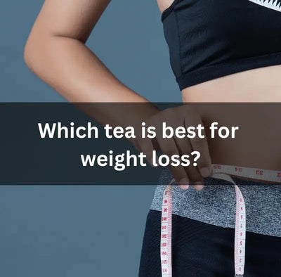 Choosing the Best Tea for Weight Loss