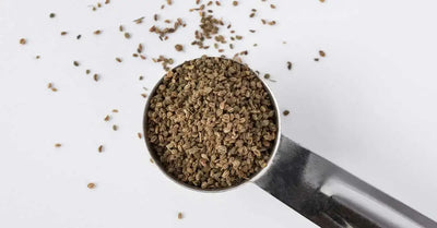 Current Uses of Celery Seed in Holistic Health