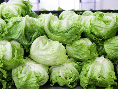 The Debate Over Iceberg Lettuce