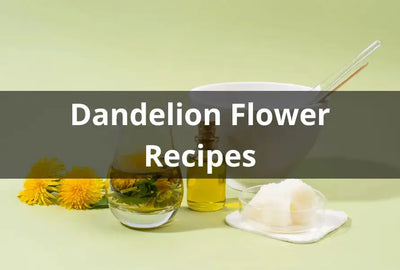 Delicious Dandelion Flower Recipes