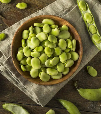 Delicious and Nutritious Lima Beans