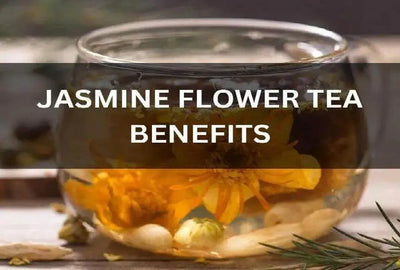 Discover the Benefits of Jasmine Tea