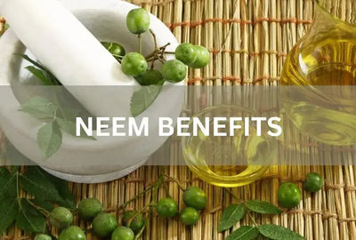 Discover the Benefits of Neem for Health and Beauty