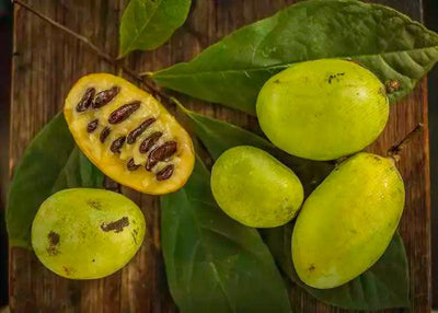 Discover the Delicious Pawpaw Fruit