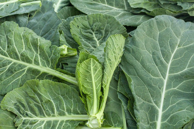 Discover the Health Benefits of Collard Greens