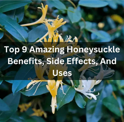 Discover the Health Benefits of Honeysuckle