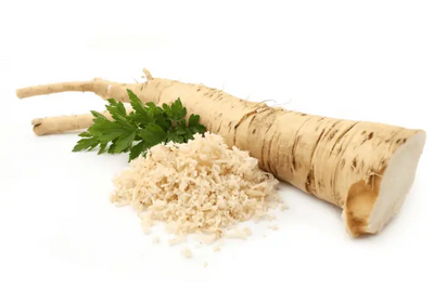 Discover the Health Benefits of Horseradish Root