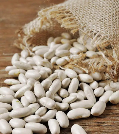 Discover the Health Benefits of Navy Beans